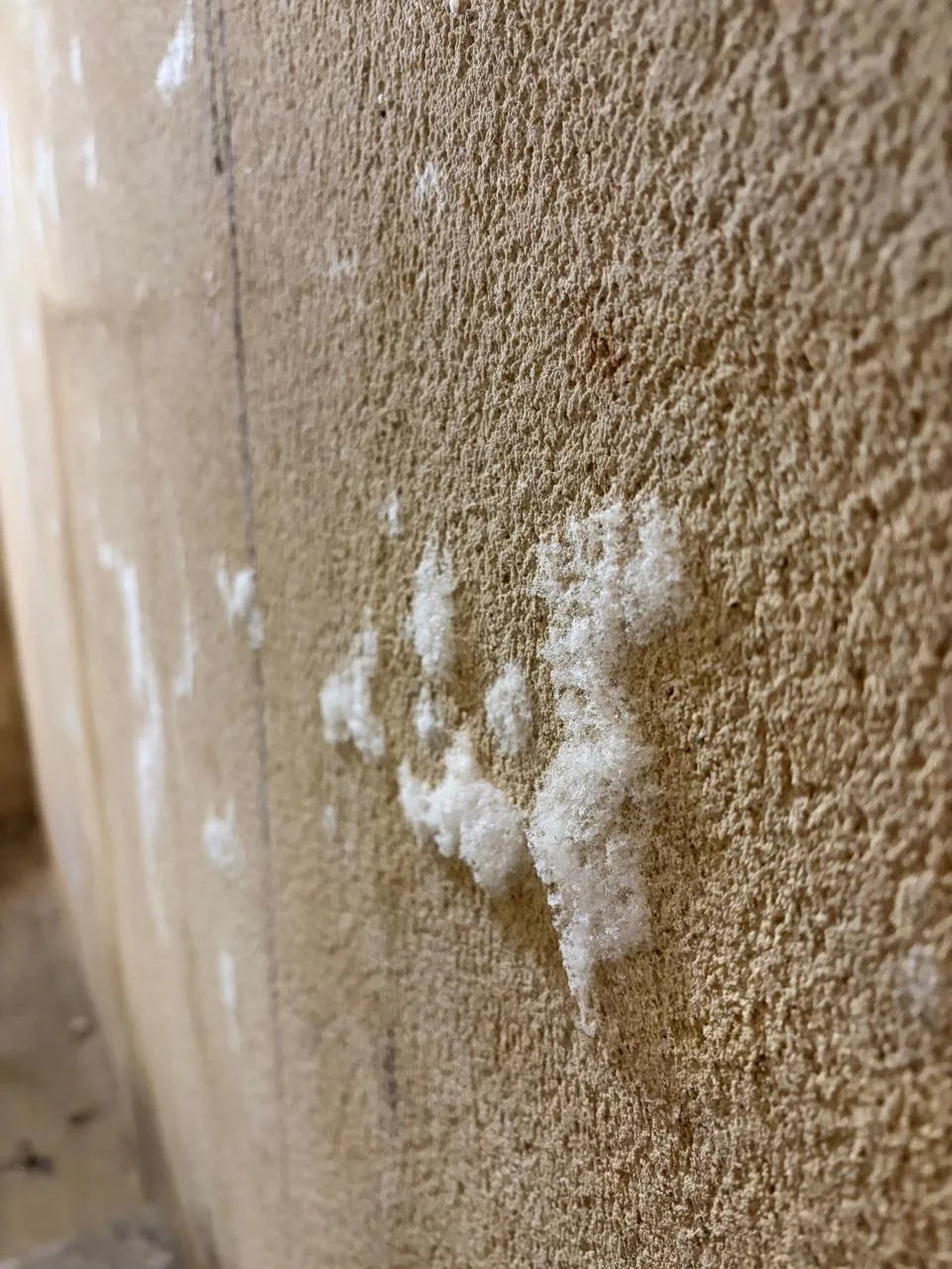 White salt crystals blooming out of the face of a damp plastered wall