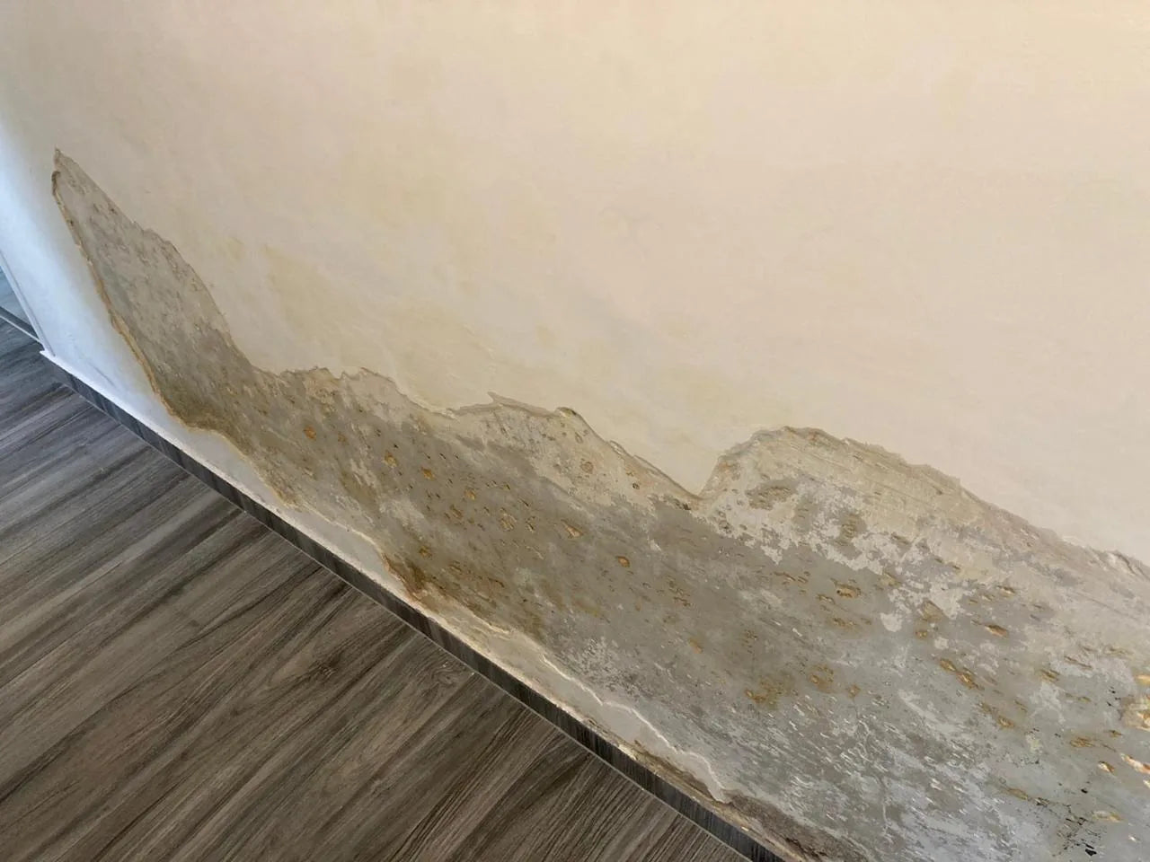 A brown tide mark running across a wall, with the plaster blown away above the skirting