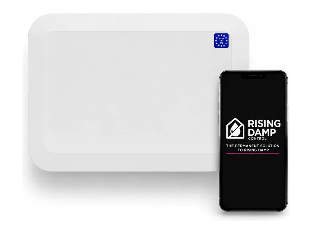 RDbox Pro Connect unit